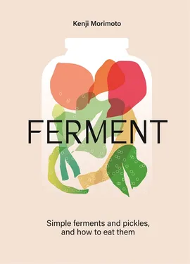 Copertina del libro "Ferment" citato nell'articolo. L'immagine di copertina è un'illustrazione stilizzata di un barattolo di verdure fermentate.